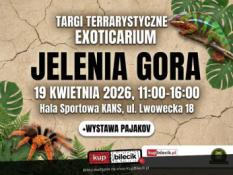 Jelenia Góra Wydarzenie Inne wydarzenie Exoticarium w Jeleniej Górze! Targi Terrarystyczne i Wystawa Pająków